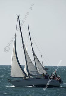05BRC-7950