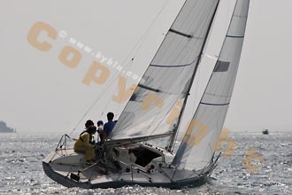 05GOR-3893