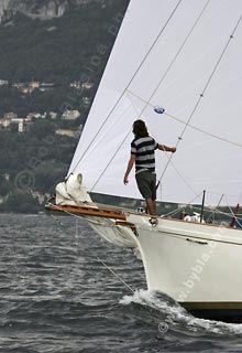 05SCR-5019