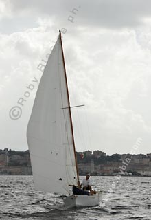 05SCR-5033