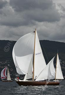 05SCR-5048