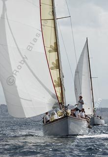 05SCR-5119