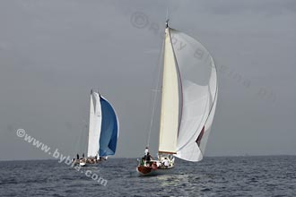 05SCR-5146