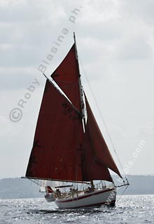 05SCR-5184