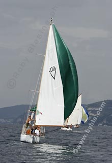 05SCR-5216