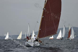 05SCR-5239
