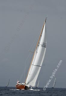 ANGELICA IV