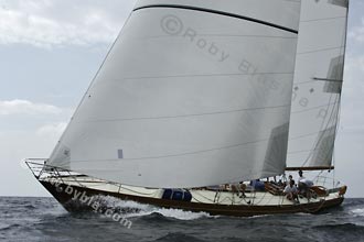 ANGELICA IV