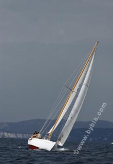 05SCR-5446