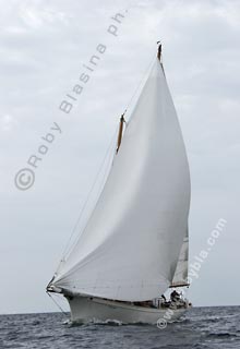 05SCR-5491