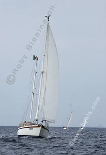 05SCR-5548