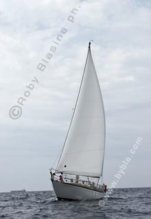 05SCR-5556