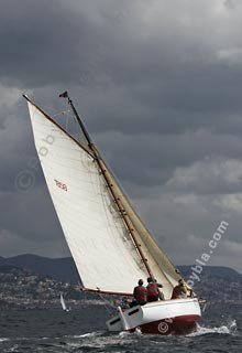 05SCR-5619