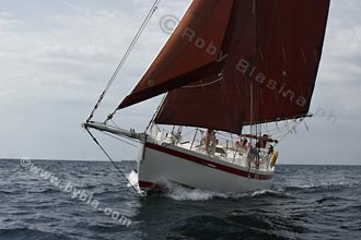 05SCR-5684