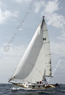 05SCR-5699