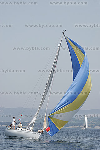 06MPM-22690