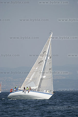 06MPM-22891