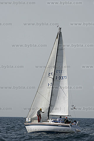 06MPM-23236