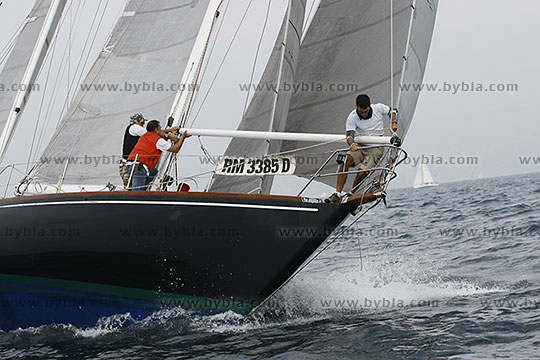 12SCR-10273