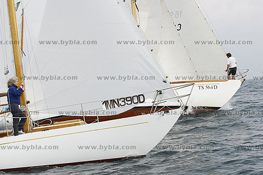 12SCR-10308
