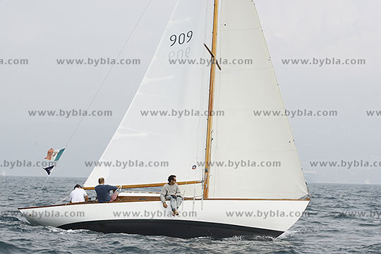 12SCR-10313