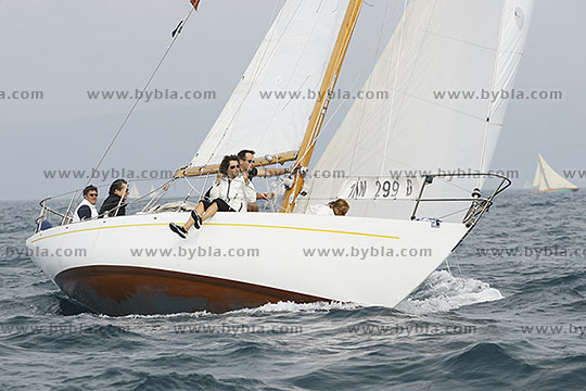 12SCR-10315