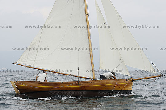 12SCR-10355