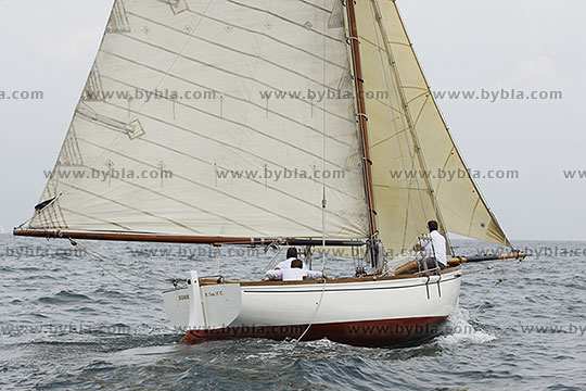 12SCR-10356