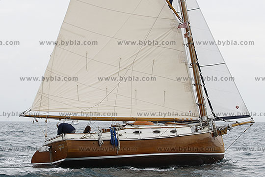12SCR-10364