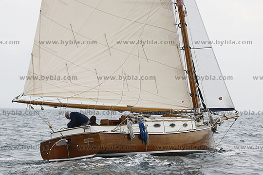 12SCR-10365