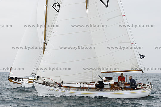 12SCR-10376