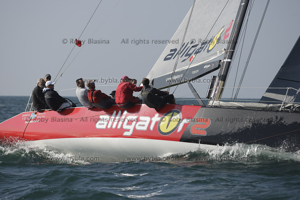 ALLIGATOR 2 43� Trofeo Bernetti 2014 14BRN-17188