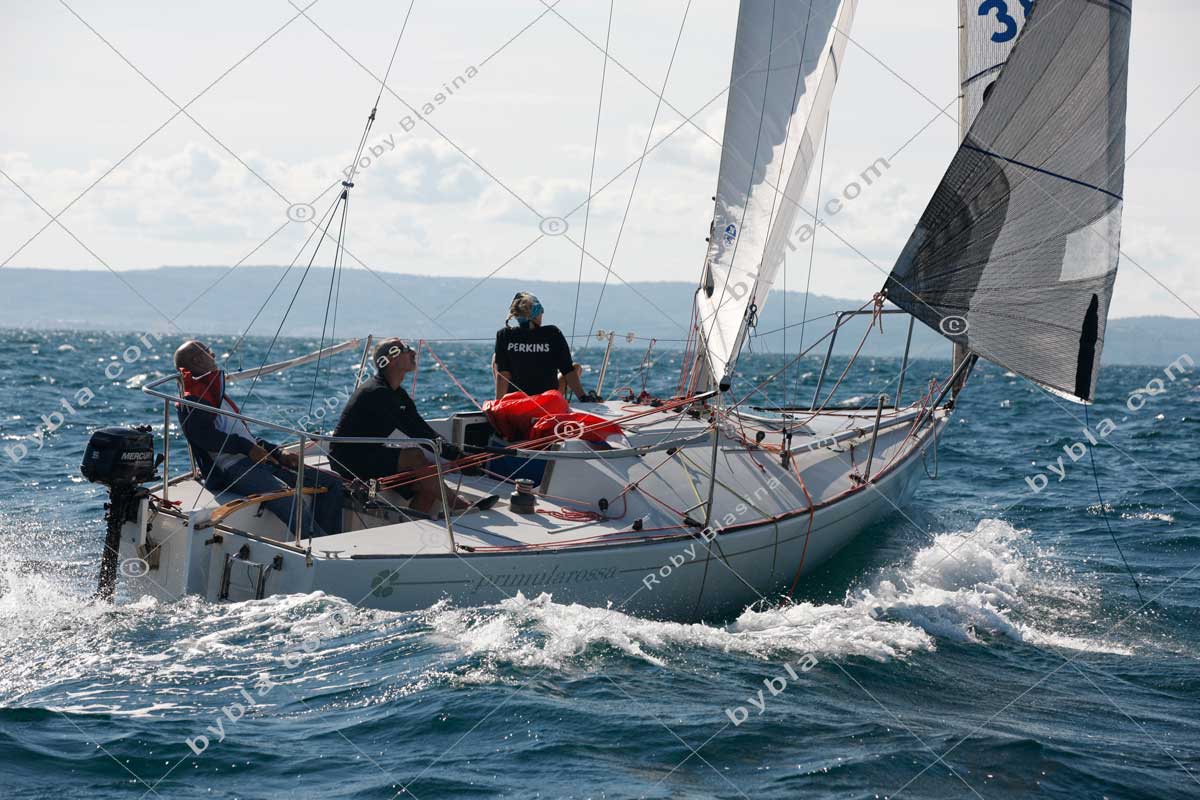 PRIMULA ROSSA Settimana velica internazionale 2026 26SVI-14035